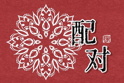 三合六合六冲在生活中的投射